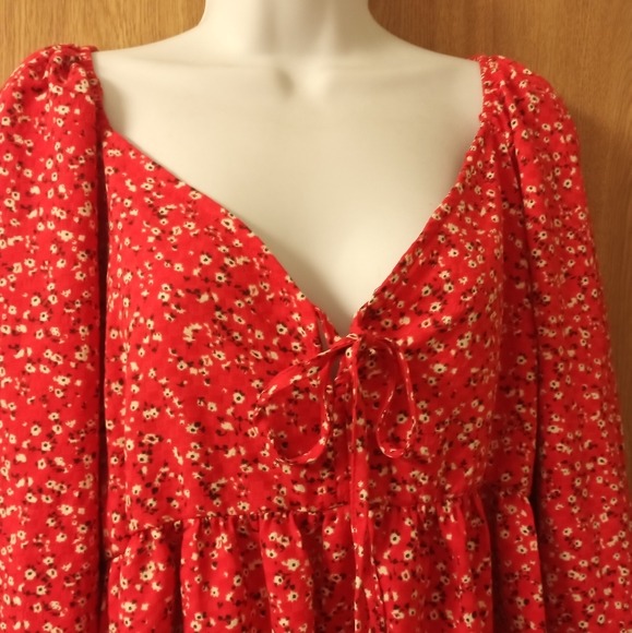 WILD FABLE - Picture 2 of 4